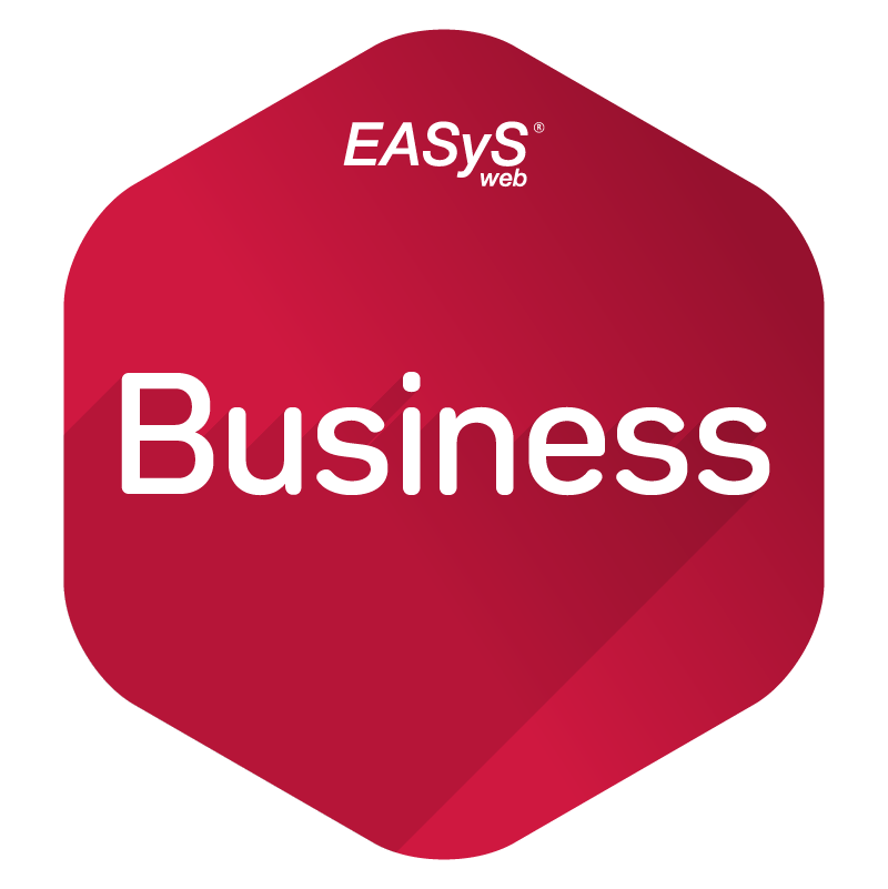 easys-web-business